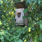 Ca' Di Mazza Appartement Monzuno