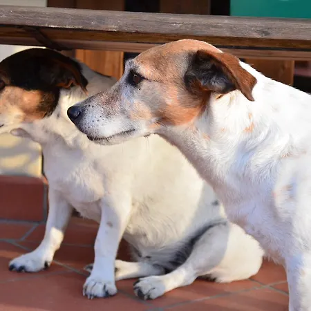 Ca' Di Mazza * 몬주노