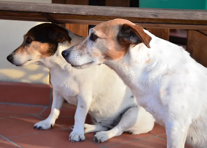 Ca' Di Mazza * Monzuno