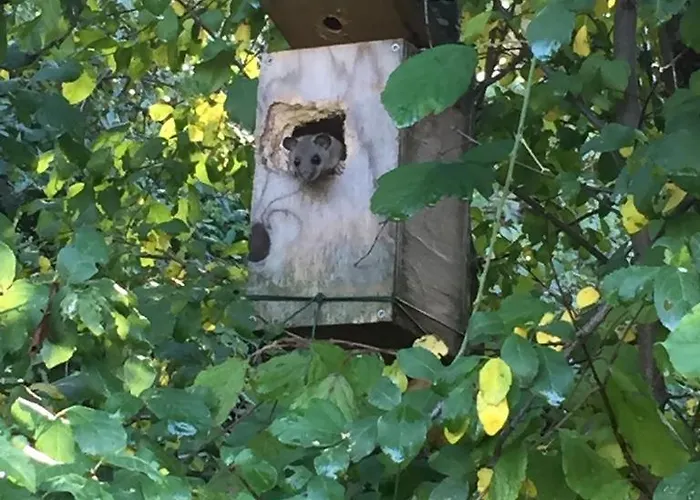 Ca' Di Mazza Apartamento Monzuno